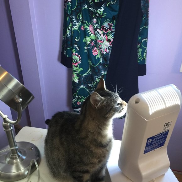 Large Deep Teal/Green Floral Tunic XL - Picture 13 of 16